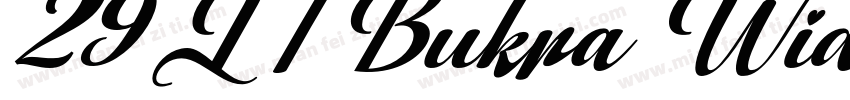 29LT Bukra Wide Regular字体转换